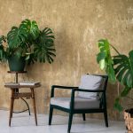 pexels-olenkabohovyk-23228208